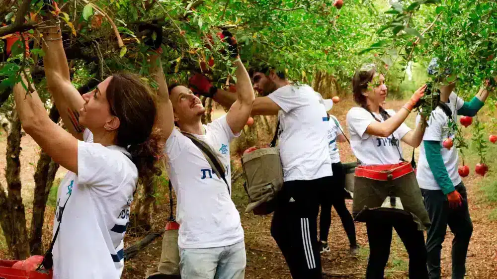 Onward Volunteers