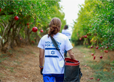 volunteer