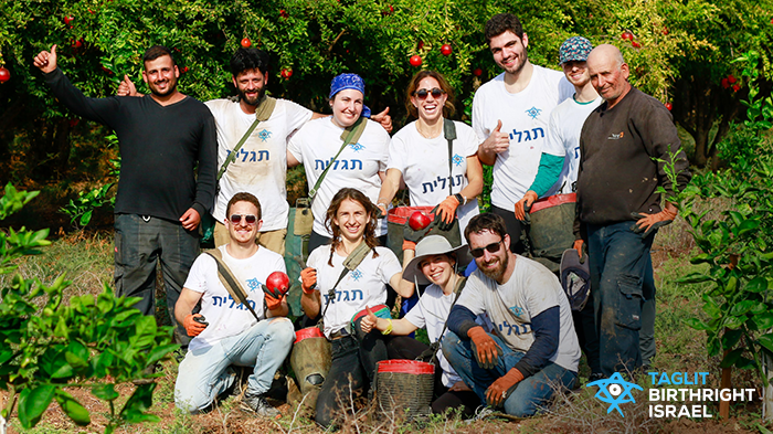 volunteers